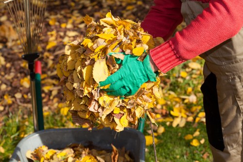 Professional waste removal service